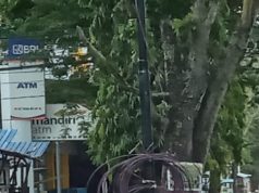 Kembangkan Potensi Kuliner, Pemerintah Kota Gorontalo Perlu Tingkatkan Kebersihan Saluran Lingkungan